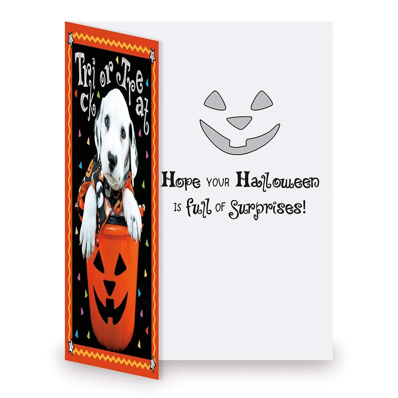 Current Halloween Greeting Cards Set - Themed Holiday Card Variety Value Pack, Set of 12 Large 5 x 7-Inch Cards, Assortment of 12 Unique Designs, Envelopes Included - Image 5